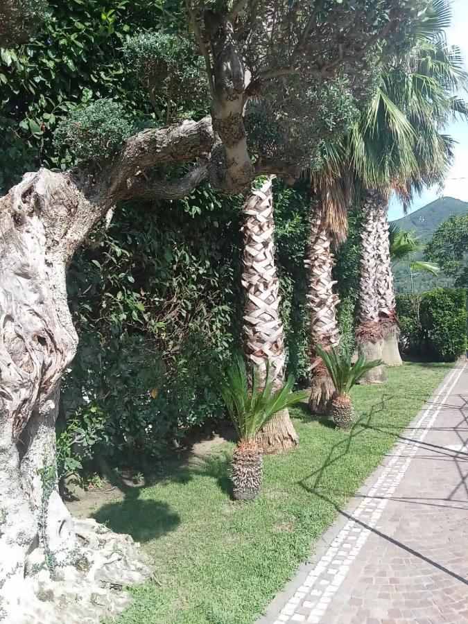 Villa Agata Forchia Экстерьер фото