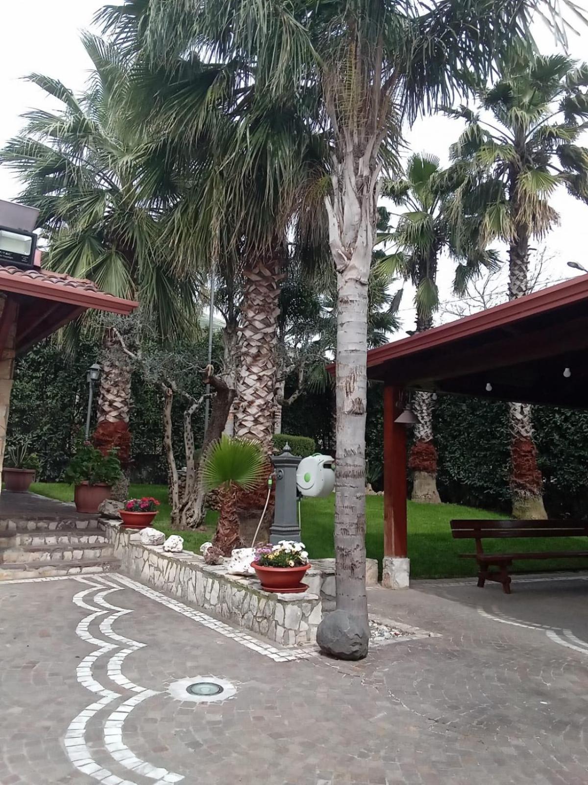 Villa Agata Forchia Экстерьер фото